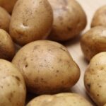 potato, Aalu ki fasal