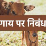 Cow essay in Hindi, गाय पर निबंध