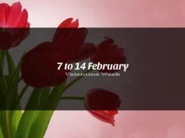 7 to 14 february, Valentine week