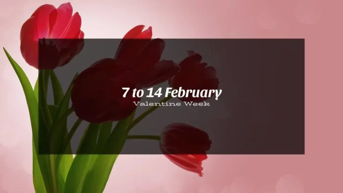 7 to 14 february, Valentine week